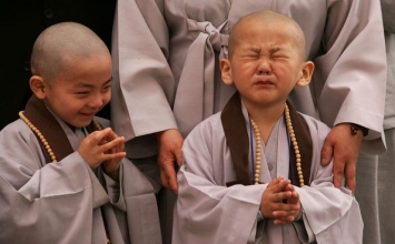 Không còn gây sự nữa